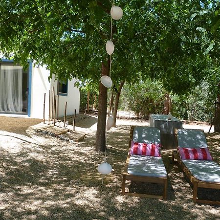 Trendy And Luxe B&B And Garden Suite Ferreira Do Alentejo Exterior photo